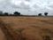 Manneguda Plot View 2