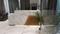 Balcony Image of LOTUS PG in Laxmi Nagar, Surat