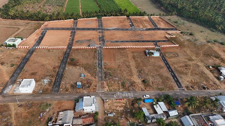 Ocene plots Main Image 1