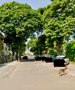 Image of 2700 Sq.ft 8 BHK Independent House for sale in Sector 7, Chandigarh for Rs. 130000000