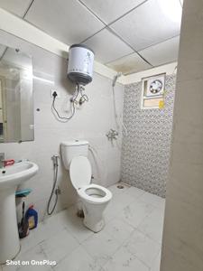 Image of 450 Sq.ft 1 BHK Apartment / Flat for rent in Gaurs 14th Avenue, Noida Extension, Greater Noida for Rs. 20000