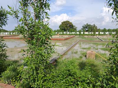 Phase 2 Plot View 2