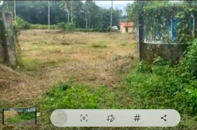 Image of 10000 Sq.ft Residential Plot / Land for sale in Kanakkary, Kottayam for Rs. 250000