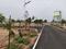 Konalai Main Image 1