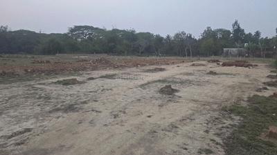 Dhamilo Plot View 2