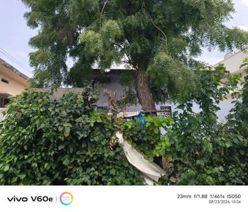 Image of 1242 Sq.ft 1 BHK Independent House for sale in Amaravati, Guntur for Rs. 4500000