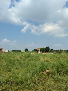 Image of 1000 Sq.ft Residential Plot / Land for sale in Naini, Allahabad for Rs. 2100000