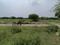 Sector 30 Rohini Plot View 2