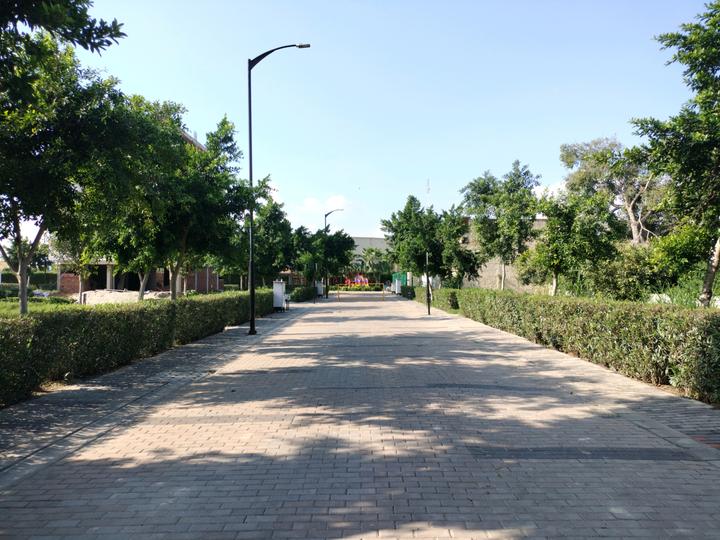 Sector 81 Main Image 1