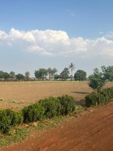 Image of 8000 Sq.ft Residential Plot / Land for sale in Aama Para, Durg for Rs. 5400000