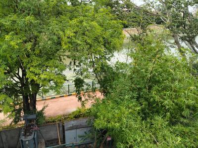 Image of 1200 Sq.ft 2 BHK Independent House for rent in BTM Residency, Akshayanagar, Bengaluru for Rs. 25700