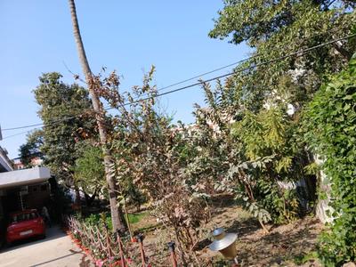 Image of 2500 Sq.ft 2 BHK Villa for rent in Civil Lines, Allahabad for Rs. 20000