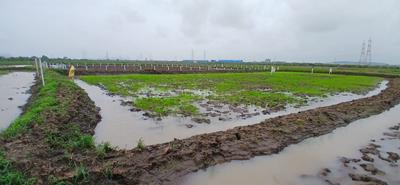 Image of 4000 Sq.ft Residential Plot / Land for sale in Harishchandra Pimpale, Navi Mumbai for Rs. 2800000