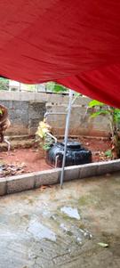 Image of 435 Sq.ft 2 BHK Independent House for sale in Parassala, Thiruvananthapuram for Rs. 2300000