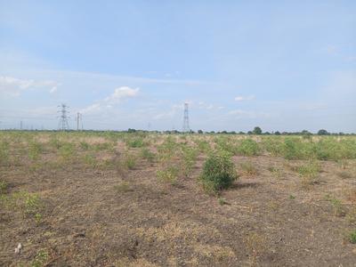 Image of 30502 Sq.ft Residential Plot / Land for sale in Tirumangalam, Madurai for Rs. 2450000