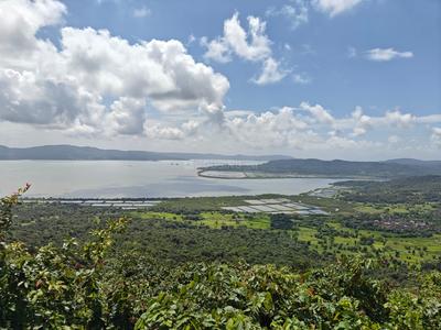 Image of 20000 Sq.ft 2 BHK Farm House for sale in Tala, Raigad for Rs. 3000000