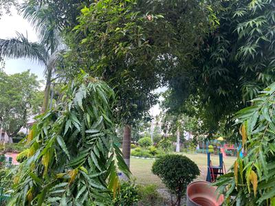Image of 3150 Sq.ft 4 BHK Builder Floor for sale in Sector 16, Faridabad for Rs. 40000000