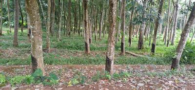 Image of 48 Sq.ft Residential Plot / Land for sale in Malayinkeezh, Thiruvananthapuram for Rs. 350000