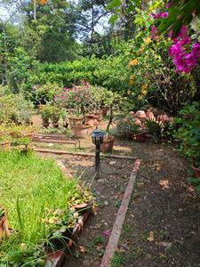 Image of 3000 Sq.ft 4 BHK Villa for sale in Santiniketan, Bolpur-Santiniketan for Rs. 13000000