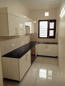 Kitchen Image of 1399 Sq.ft 6 BHK Independent House for sale in Sector 41 Noida for Rs. 45000000