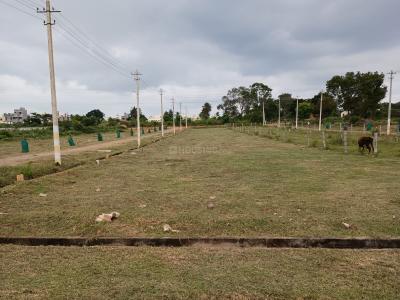Image of 1163 Sq.ft Residential Plot / Land for sale in Maratikyatana Halli, Mysore for Rs. 3600000