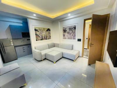 Hall Image of 1349 Sq.ft 1 BHK Builder Floor for rent in DLF Phase 3 Gurgaon for Rs. 38000