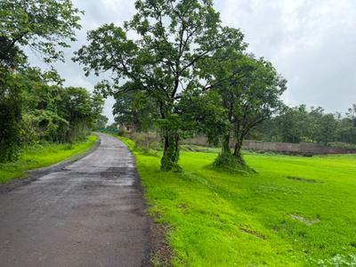 Image of 174240 Sq.ft Residential Plot / Land for sale in Murbad, Thane for Rs. 12500000