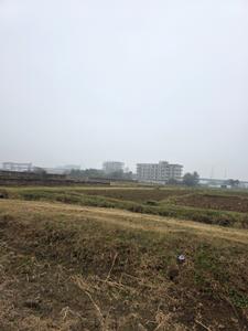 Image of 1361 Sq.ft Residential Plot / Land for sale in Shivala Par, Patna for Rs. 6500000