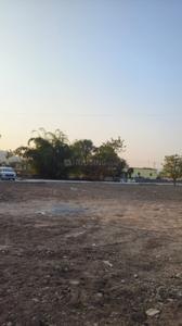 Pirangut Plot View 2