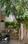 Bhatinda Plot View 2