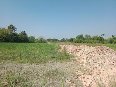 Royal Garden Plot View 2
