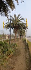 Image of 1250 Sq.ft Residential Plot / Land for sale in Omaxe Metro City Hitech Township P8, Kalli Pashchim, Lucknow for Rs. 8648626