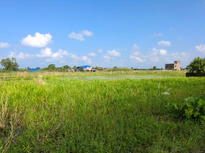 Image of 1440 Sq.ft Residential Plot / Land for sale in Wander Valley, Joka, Kolkata for Rs. 555555