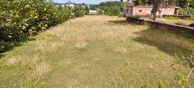 Image of 6000 Sq.ft Residential Plot / Land for sale in Singhani, Hazaribagh for Rs. 4400000