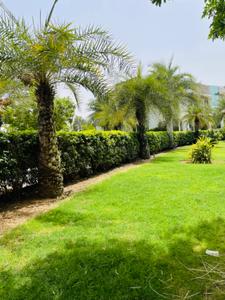 Image of 43560 Sq.ft Residential Plot / Land for sale in Vatika Westin Sohna Resort, Karnki, Gurgaon for Rs. 40000000