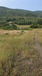 Image of 11000 Sq.ft Residential Plot / Land for sale in Bhor, Pune for Rs. 1910000