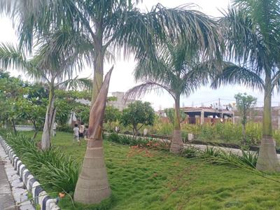 Image of 1060 Sq.ft Residential Plot / Land for sale in Bhilai Steel Plant, Bhilai for Rs. 1696000