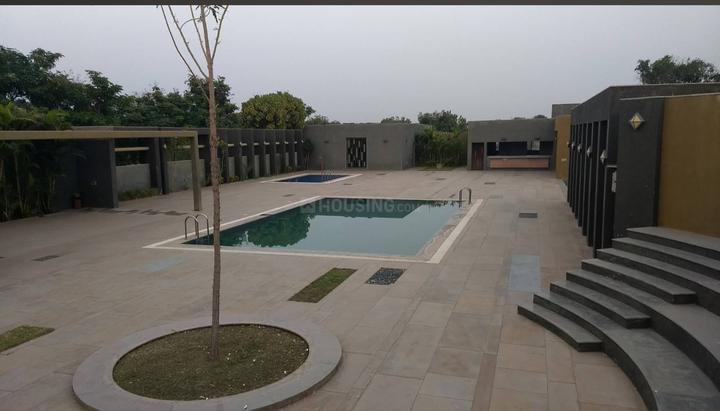 surmya 3 Main Image 1