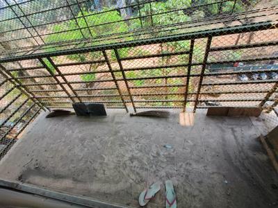 Balcony Image of 1250 Sq.ft 3 BHK Apartment / Flat for sale in Kaul Heritage City, Vasai West Vasai for Rs. 11000000