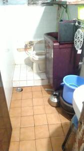 Bathroom Image of 377 Sq.ft 1 RK Apartment / Flat for sale in Panjim Goa for Rs. 10000000