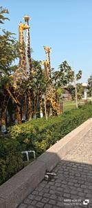Rajshree Shri Sharad Madhav Vihar 3 And Extension Plot View 3