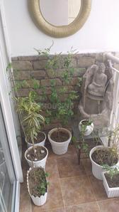 Balcony Image of 1430 Sq.ft 3 BHK Apartment / Flat for sale in Jaypee Aman, Sector 151 Noida for Rs. 11200000