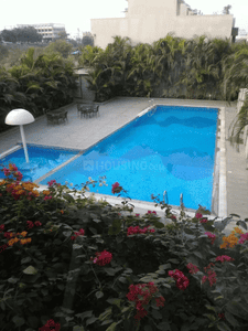Image of 1750 Sq.ft 3 BHK Apartment / Flat for sale in Virasha Heights, Bawadiya Kalan, Bhopal for Rs. 7500000