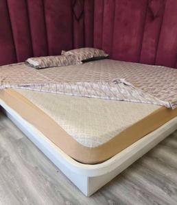Bedroom Image of 1233 Sq.ft 2 BHK Apartment / Flat for rent in Vijay Nagar Indore for Rs. 31000