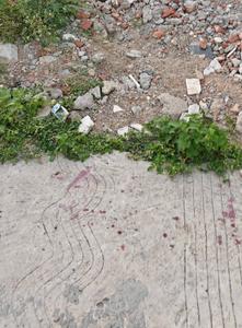 Image of 1000 Sq.ft Residential Plot / Land for sale in Ajabpur Khurd, Dehradun for Rs. 7215000