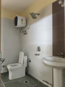 Common Bathroom Image of 2000 Sq.ft 3 BHK Apartment / Flat for rent in Skytech Merion Residency II, Crossings Republik Ghaziabad for Rs. 32000