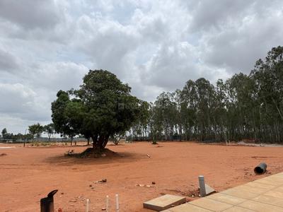 Image of 2400 Sq.ft Residential Plot / Land for sale in Devanahalli, Bengaluru for Rs. 23000000