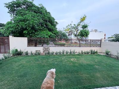 Image of 3000 Sq.ft 2 BHK Builder Floor for rent in DLF Alameda, Sector 74A, Gurgaon for Rs. 65000