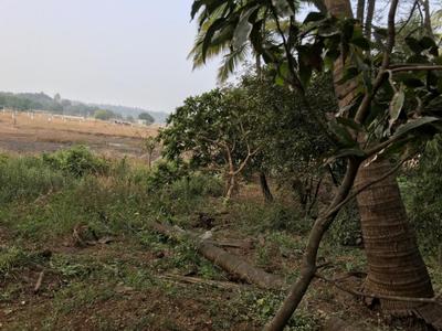 Image of 40000 Sq.ft Residential Plot / Land for sale in Bagmala, Alibag for Rs. 40000000