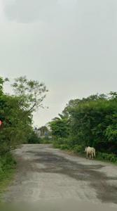 Image of 4356 Sq.ft Residential Plot / Land for sale in Chas, Bokaro for Rs. 100000